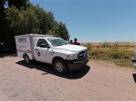 Guerreras Buscadoras Encuentran Cuerpos Sin Vida En Cajeme