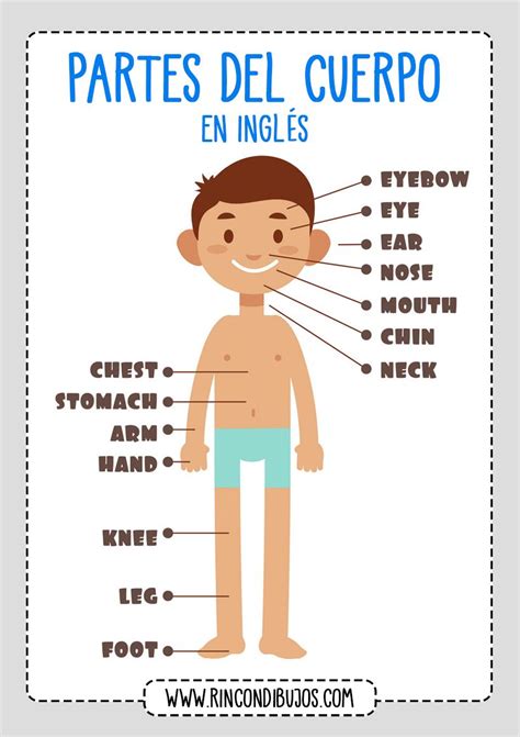 Body Parts Ingles Partes Del Cuerpo Rincon Dibujos NBKomputer