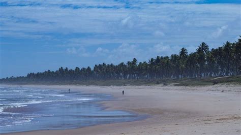 Litoral Norte Da Bahia Conhe A As Melhores Praias