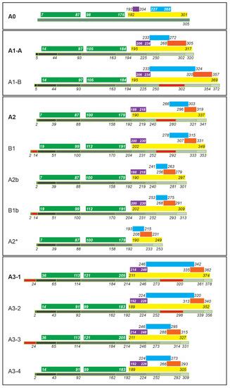 Biology Free Full Text Hnrnp A B Proteins An Encyclopedic