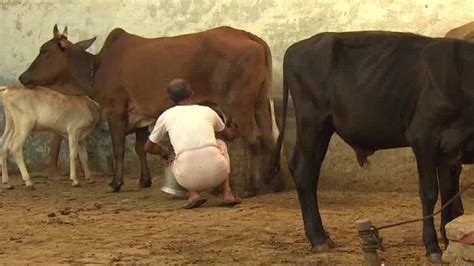 15 Charged In India Over Mob Beef Killing Cnn
