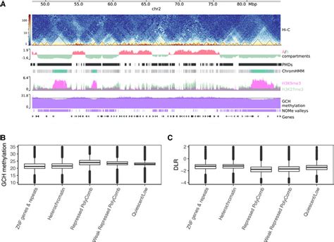 Genome Wide Chromatin Landscape Is Reflected By Nome Signal A Zoomed