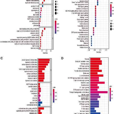 The Immune Cell Infiltration Landscape In Hcc Heatmap For Immune Cell