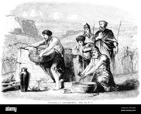 The Water Of Separation Is A Purification For Sin Bible Old Testament