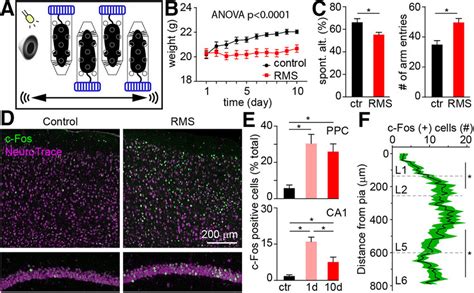 Repeated Exposure To Multiple Concurrent Stressors Impairs Spatial