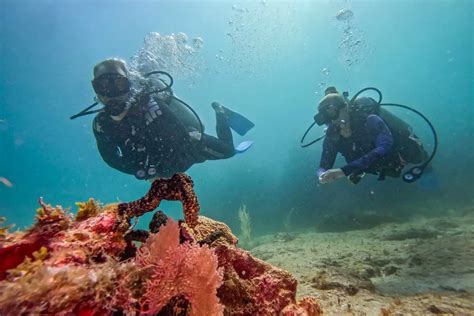 Best Places To Go Scuba Diving In Costa Rica Costa Rica Travel Life