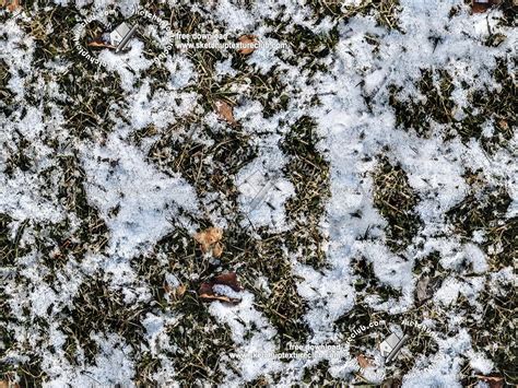 Grass With Splashes Of Snow Texture Seamless 20211