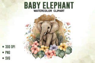 Watercolor Floral Baby Elephant Bundle Graphic By ART Fanatic