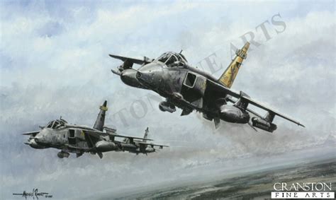 54f Squadron Farewell By Michael Rondot