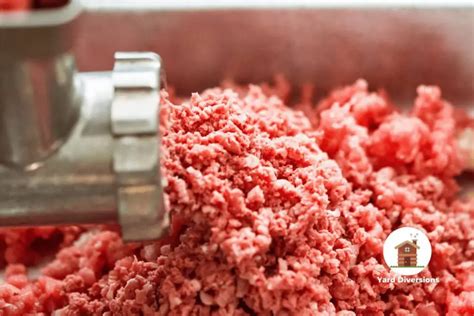 Grinding Your Own Hamburger Is It Cheaper Yard Diversions