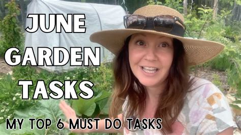 Don T Forget These Tasks Food Forest Gardening YouTube