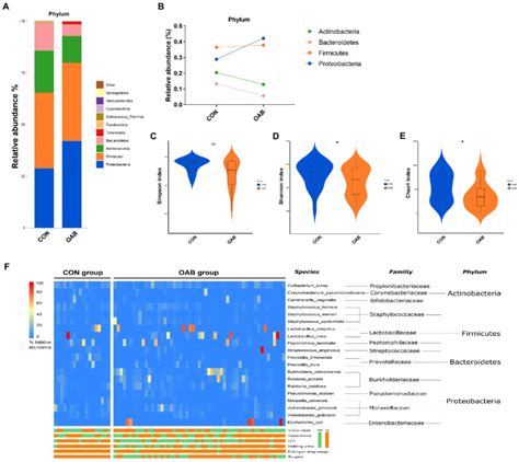 The Urinary Microbiome Profile Of Participants A The Bar Graph