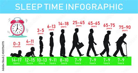 Human Healthy Sleep Duration By Ages Silhouette Vector Infographic How