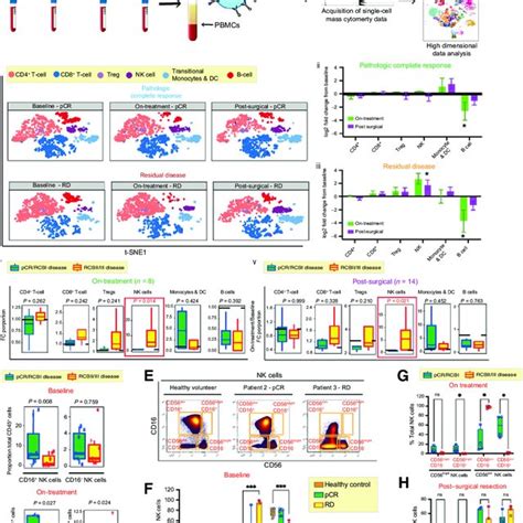 Longitudinal Cytof Profiling Of Patient Pbmcs Reveals Nac Induced