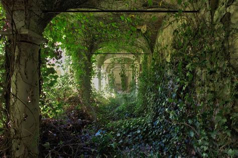 Beautiful Overgrown Garden From An Abandoned Villa Scrolller