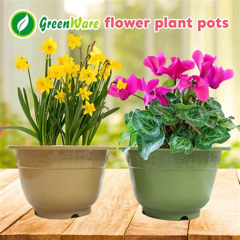 Greenware Plant Flower Pot 7x5 Inches Paso Shopee Philippines