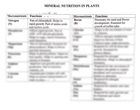 Solution Mineral Nutrition In Plants Macronutrients And