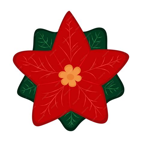 Flor De Natal Desenho - A flor de natal isolada é as poinsétias em um fundo branco estilo plano ...