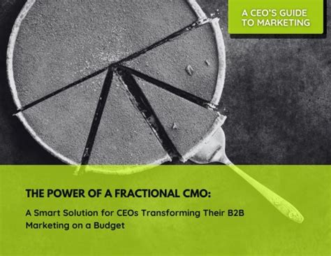 The Ceo Marketing Guide The Power Of A Fractional Cmo For B B Startups