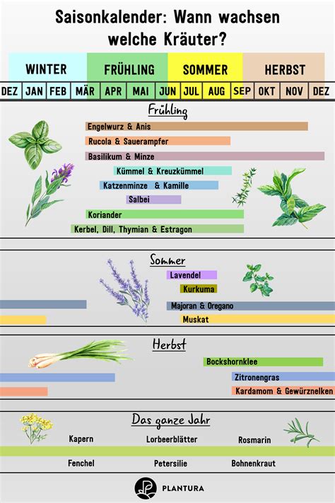 Saisonkalender Wann W Chst Welches Gem Se Obst Plantura