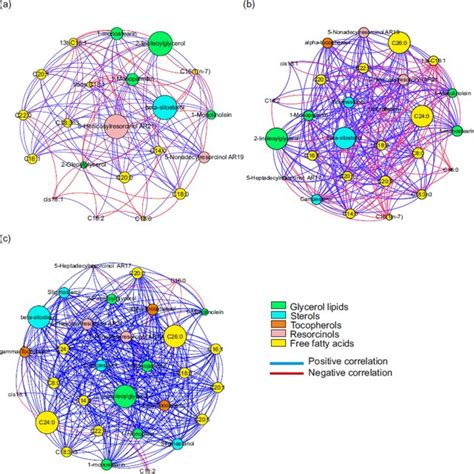 Network Visualization Of Pairwise Correlations Of Metabolites And Download Scientific Diagram