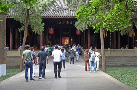 游成都武侯祠、南郊公园随拍。 中关村在线摄影论坛