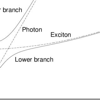 dispersion curves  exciton polariton solid lines represent