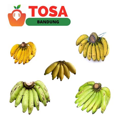 Jual Pisang Ambonpisang Nangkapisang Raja Bulupisang Raja Sere