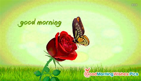 20 Beautiful Good Morning Butterfly Animated  Images