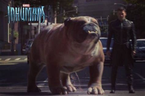 Lockjaw Marvel Marvel Inhumans Marvel Superheroes