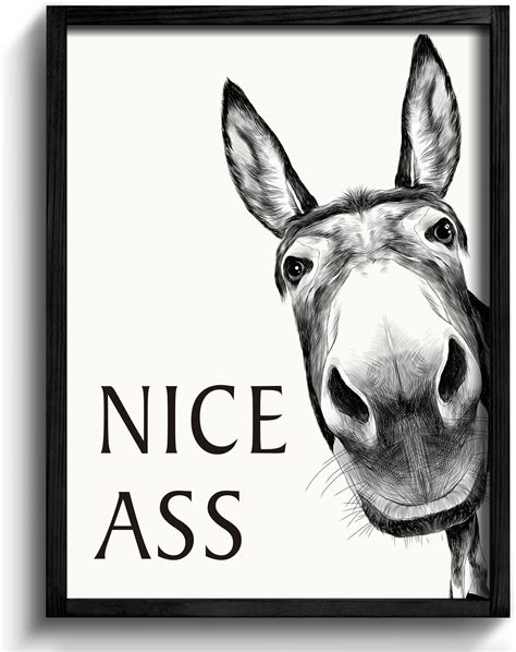 Amazon Framed Bathroom Wall Art Nice Ass Donkey In Bathroom For Bathroom Wall Decor