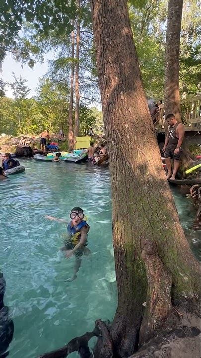 Clear Water At Ginnie Springs Fl Travel Viral Youtubeshorts