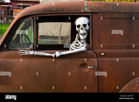 Skeleton Looking Out Window Hi Res Stock Photography And Images Alamy