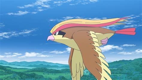 File:Pidgeot anime.png - Bulbagarden Archives