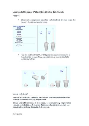 ACV S02 Simulador Laboratorio N 1 Equilibrio térmico Calorimetría