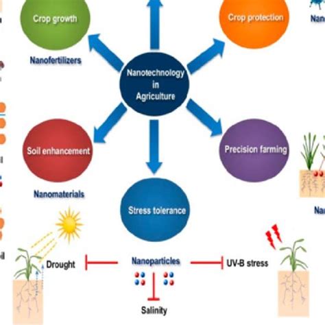 Nanotechnology Applications In Agriculture Download Scientific Diagram