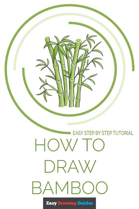 How To Draw Bamboo Really Easy Drawing Tutorial Drawing Tutorial