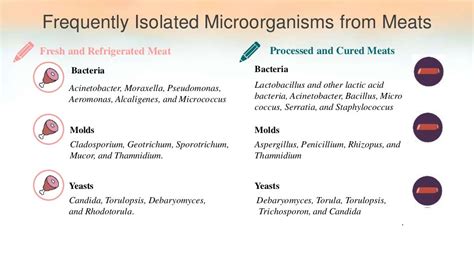 Spoilage of Meat and Meat products