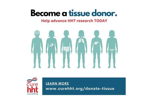 Organ And Tissue Donation Curehht