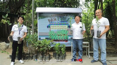 Denr Ncr Community Pantree Kaugnay Ng Pagsisimula Ng Philippine