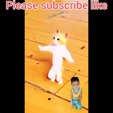 Patli Kamariya Mori Hai Hai Cute Cat Dance Youtube