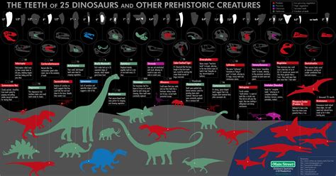 FOSSIL Features: Sinking Our Teeth into Dinosaur Dentition by Joy and Isabelle Churin – myFOSSIL