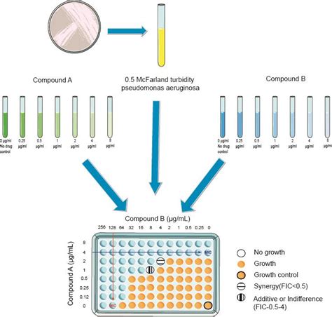 Creative Diagnostics Launches Antimicrobial Synergy Testing Services