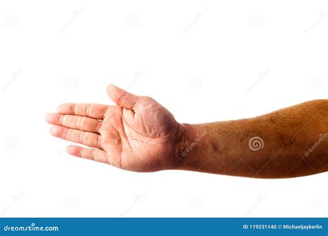 Adult Male Hand Showing Flat Hand Gesture Isolated On White Stock Photo