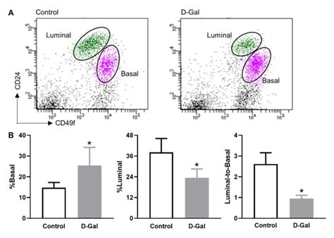D Galactose Alters Mammary Basal Luminal Cell Pools A Representative