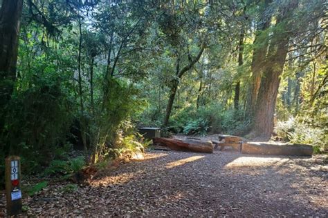 Jedediah Smith Campground - Jedediah Smith Redwoods State Park | Park Ranger John