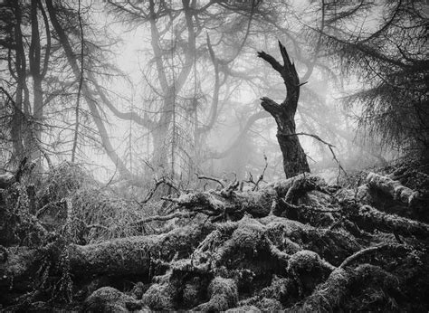 25 Winning Photos Of The British Wildlife Photography Awards 2023