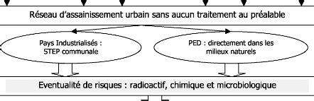 Memoire Online Evaluation Des Risques Sanitaires Et Cotoxicologiques