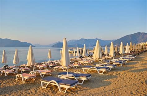 Plage De Sable Sans Personne Et Avec Transats Parasols Palmiers