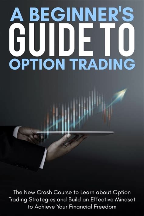 알라딘 A Beginners Guide To Option Trading The New Crash Course To